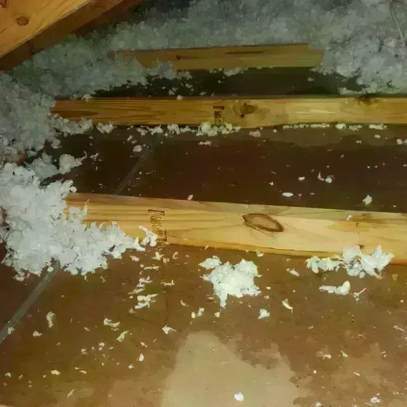 Attic Water Damage in Lochmoor Waterway Estates, FL